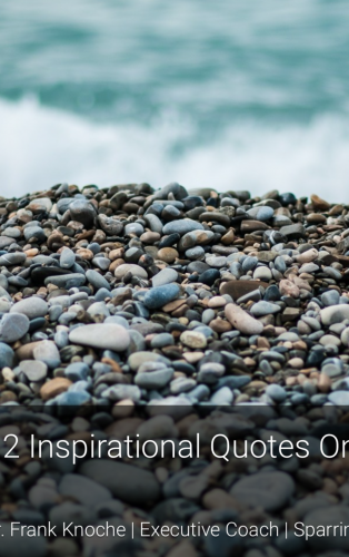 12 Inspirational Quotes On True Leadership http://bunkrapp.com/present/3dow98/